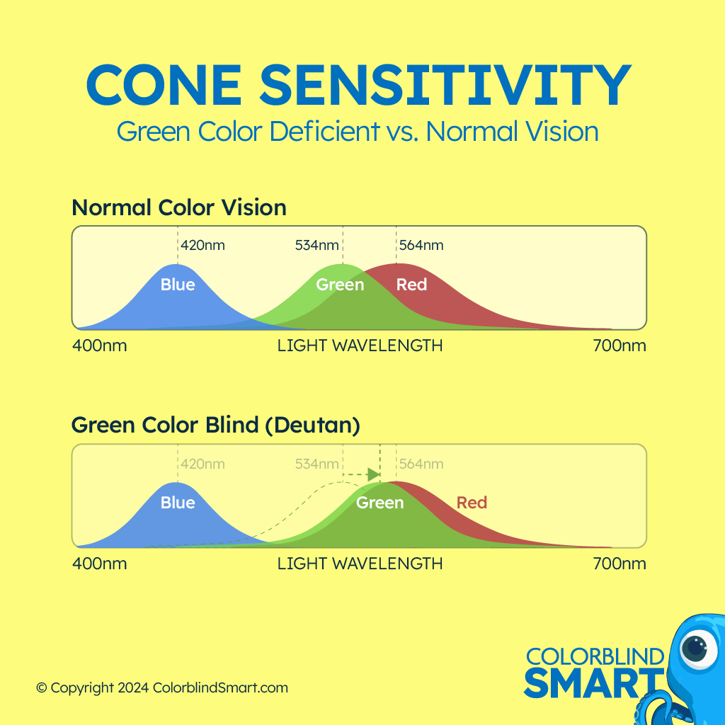 Structure that malfunctions in color blindness